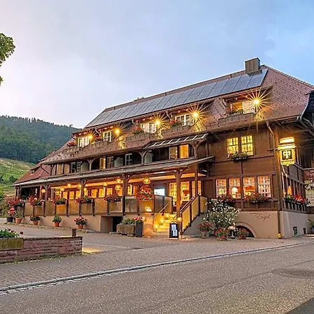 Hotel Hotel-gasthaus Goldener Engel 3*