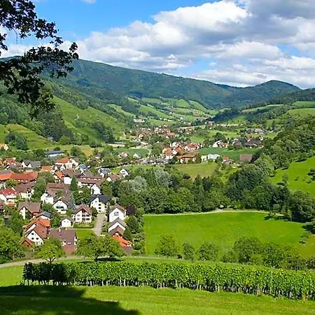 Hotel-gasthaus Goldener Engel