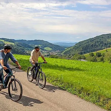 Hotel-gasthaus Goldener Engel 3* Freiburg im Breisgau