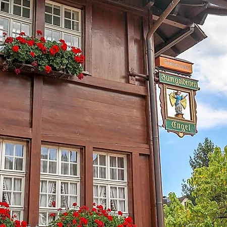 Hotel-gasthaus Goldener Engel Hotel Freiburg im Breisgau