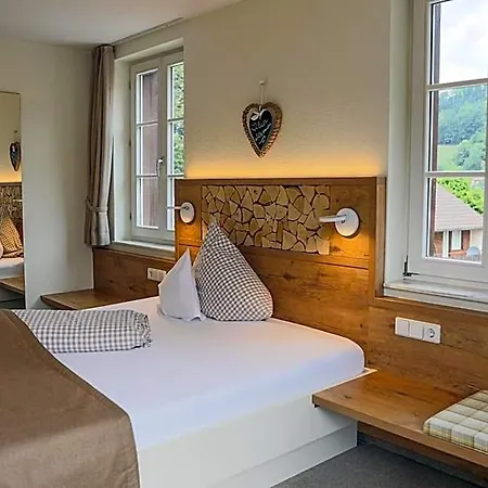 Hotel-gasthaus Goldener Engel Freiburg im Breisgau