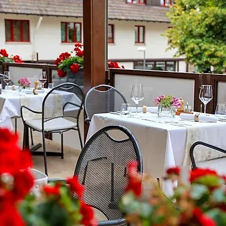 Hotel-gasthaus Goldener Engel 3*